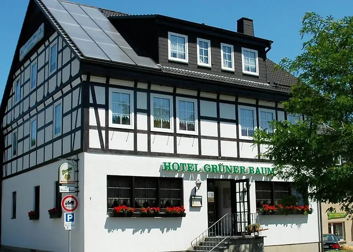 Hotel Gruener Baum Stollberg photo