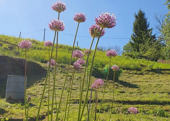 Ferienwohnung Am Huthainberg Bornichen zdjęcie