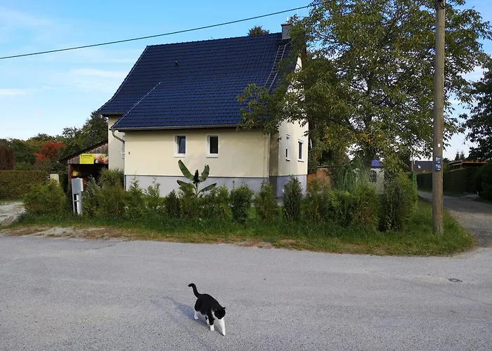 Ferienwohnung Schmidt Sdier photo