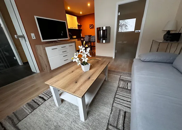 Weinrebe Oberhermsdorf Nahe Dresden Wilsdruff fotoğrafı