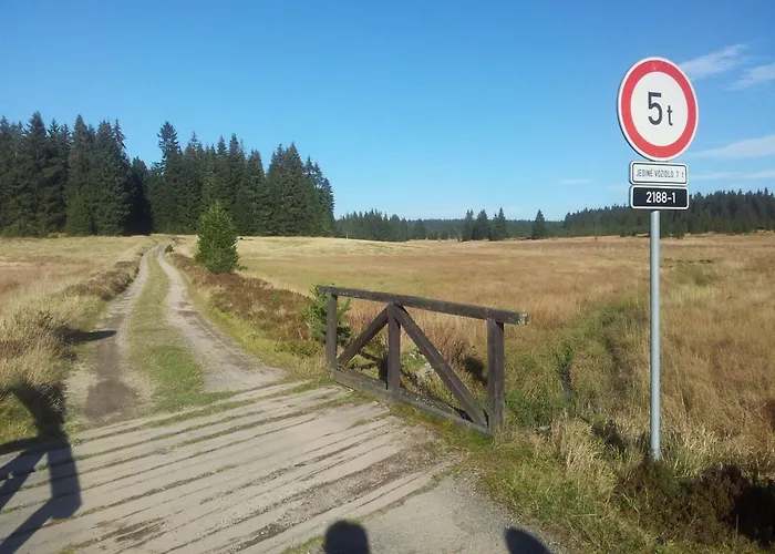 Apartment Fewo Kranichsee Wgh By Interhome Weitersglashütte fotorgafie