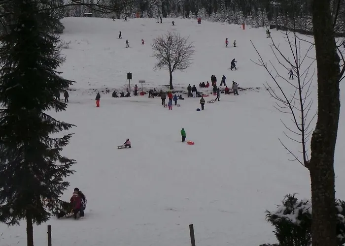 Apartment Fewo Am Skihang Og By Interhome Carlsfeld foto