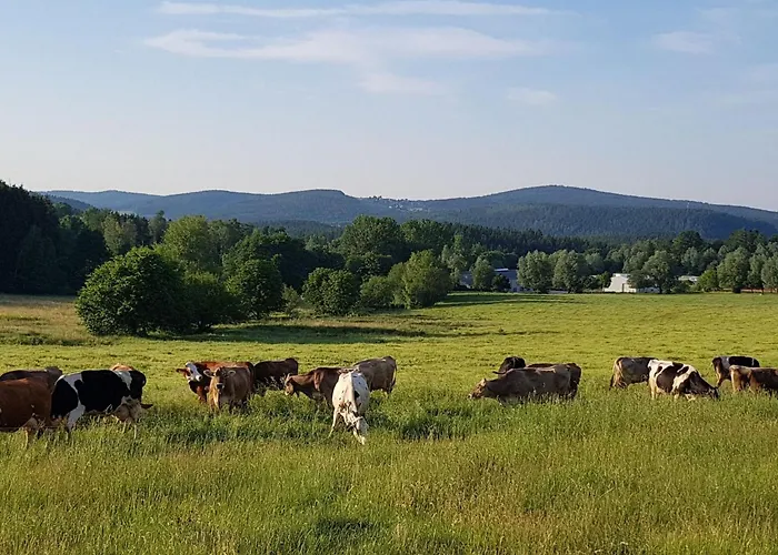 صورة Apartment Mit Wallbox By Interhome آيبنشتوك