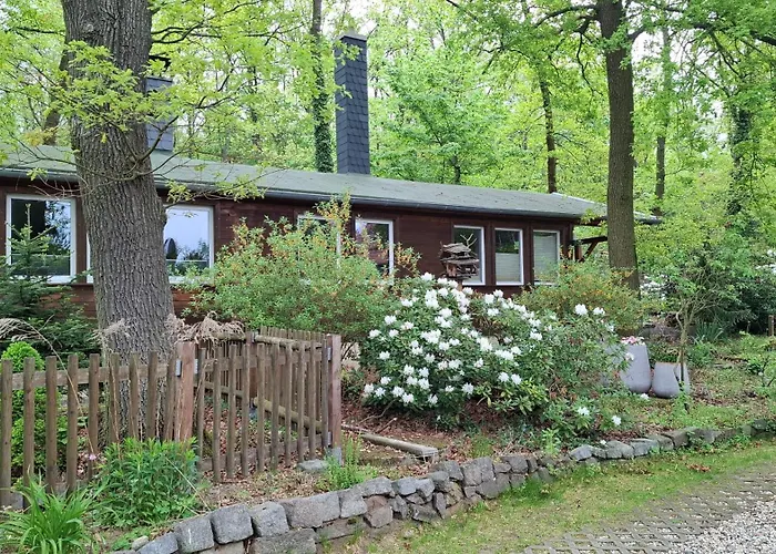fotos do Bungalow Am Wald Coswig 