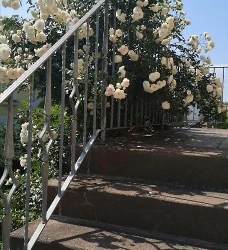 Haus An Der Wiese Privat Mit Garten Und Parkplatz Floha foto